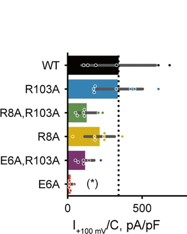 Open access visualization of Bar Plot, Error Bars, Scatter Plot, Current Density, Recordings