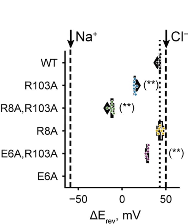 Open access visualization of Scatter Plot, Error Bars, Current Density, Recordings