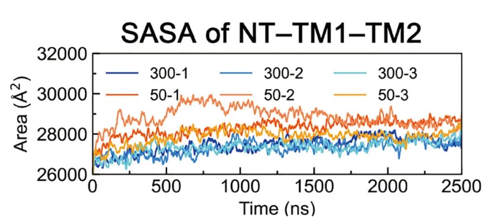 Open access visualization of Line Plot, Solvent-Accessible Surface Areas, SASAs, Transmembrane Permeation Path, NTs