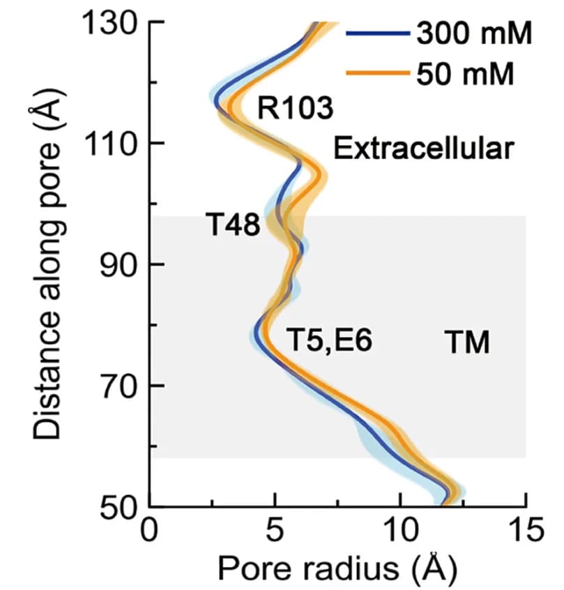 Open access visualization of Line Plot, Error Bars, Pore Radius, Salt Concentrations, Snapshots