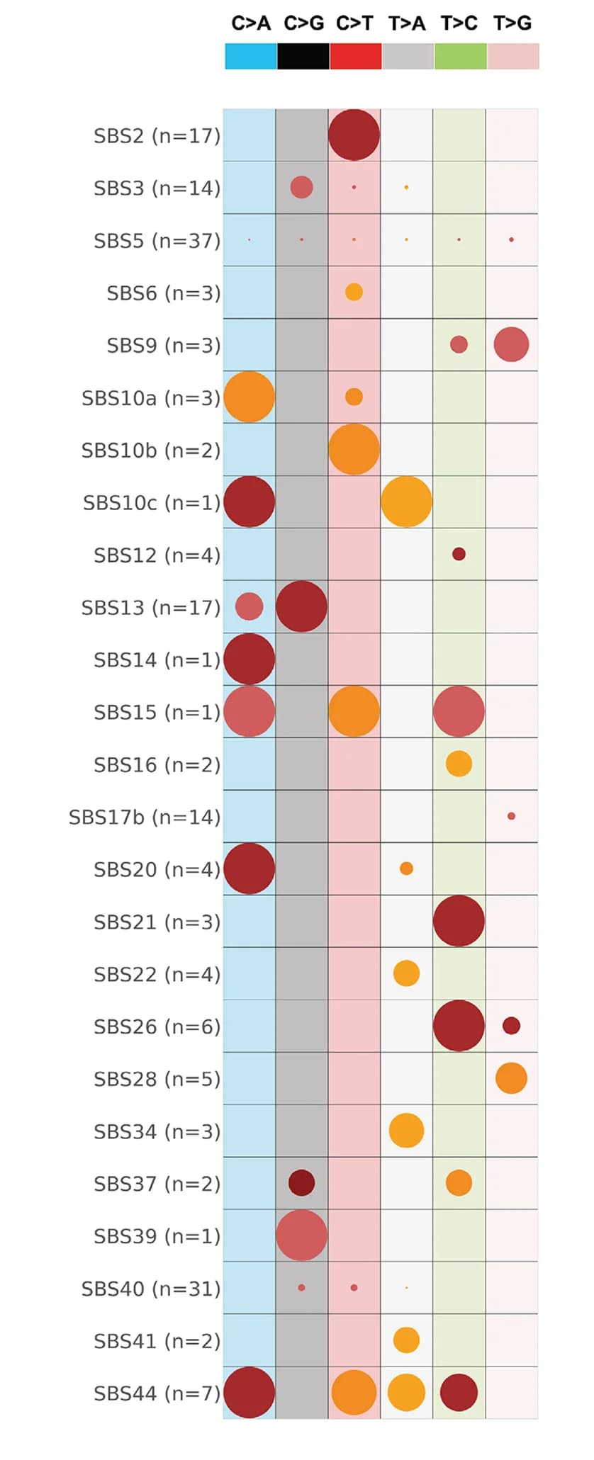 Open access visualization of Bubble Plot, Single-Base Substitutions, Replication Strand Asymmetries, Cancer Types, Mutations