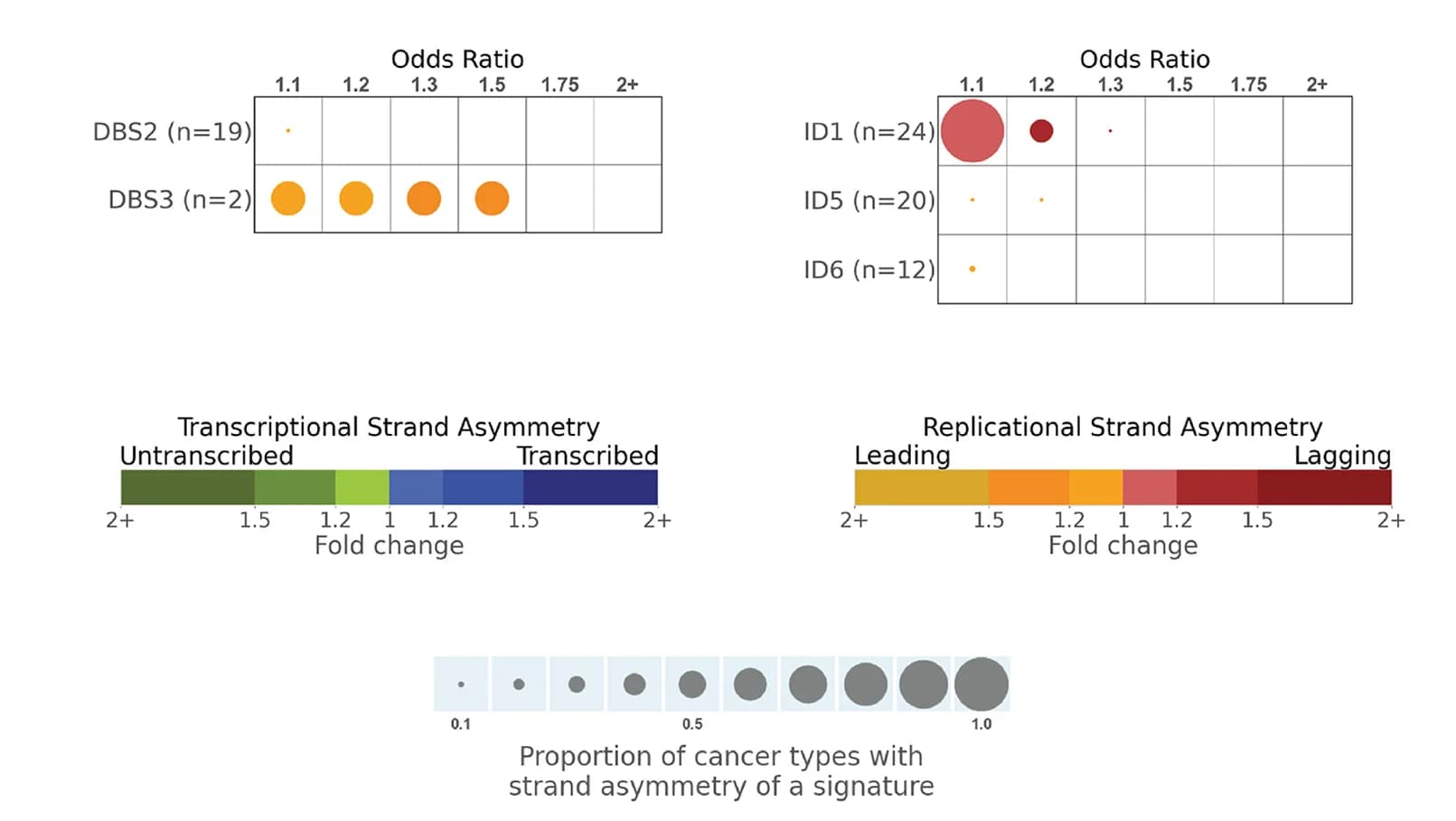 Open access visualization of Bubble Plot, Heatmap, Replication Strand Asymmetries, Doublet-Base Substitutions, Mutational Signatures
