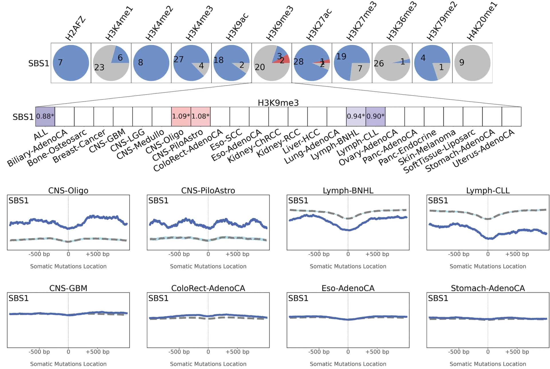 Open access visualization of Pie Chart, Line Plot, Heatmap, Histone Modifications, SBS1