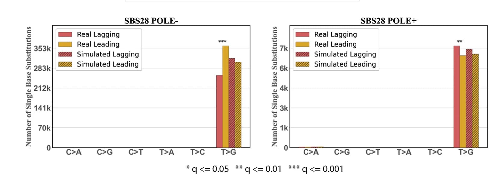 Open access visualization of Bar Plot, Clustered, Replication Strand Asymmetry, SBS28, POLE- samples