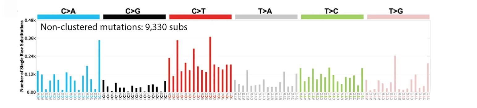 Open access visualization of Bar Plot, Trinucleotide Mutational Spectra, Non-clustered Mutations, Omikli, Kataegis Mutations