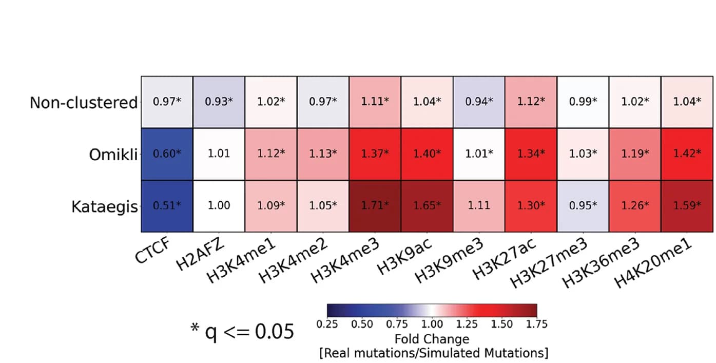 Open access visualization of Heatmap, Enrichments, Depletions, Non-clustered Mutations, Omikli