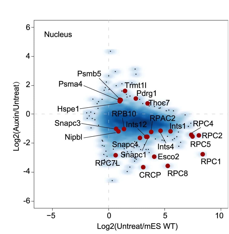 Open access visualization of Scatter Plot, Volcano Plot, Scatterplot, Cytoplasmic, Nuclear