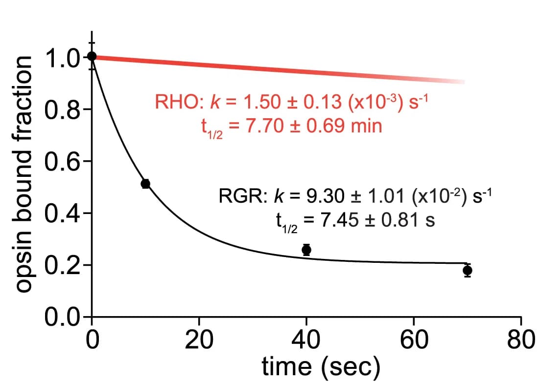 Open access visualization of Line Plot, Error Bars, Time course, RGR*-11-cis-retinylidene Schiff base, Hydrolysis