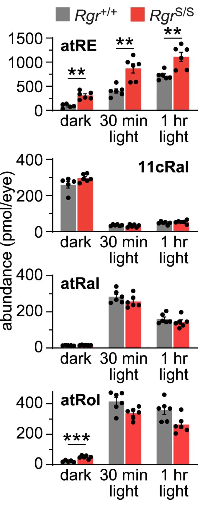 Open access visualization of Bar Plot, Error Bars, All-trans-retinyl ester, 11-cis-retinal, All-trans-retinal