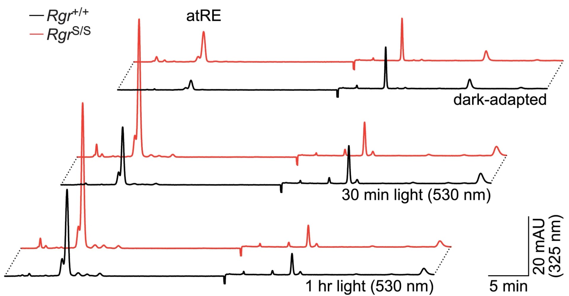 Open access visualization of Line Plot, Chromatograms, atRE, Eyes