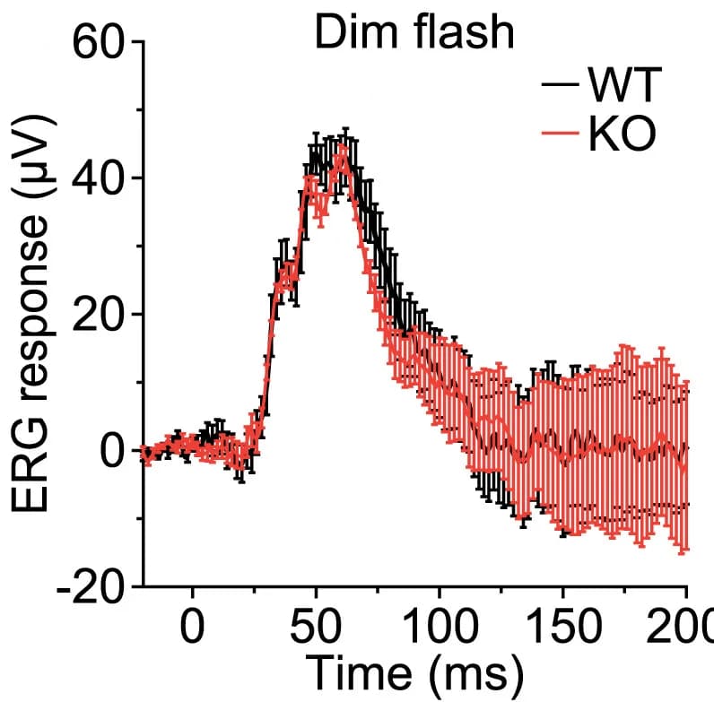 Open access visualization of Line Plot, Error Bars, ERG, Mice, M-cone