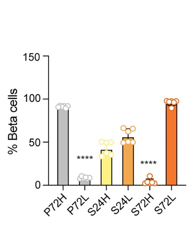 Open access visualization of Bar Plot, Error Bars, Side Scatter, Beta Cells, Ins1-GFP Mice