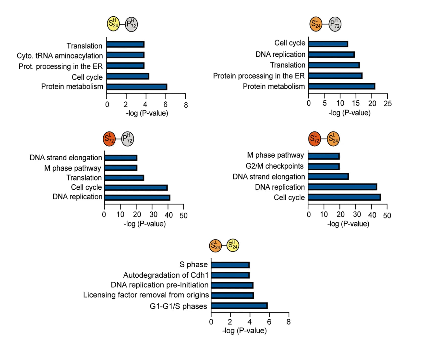 Open access visualization of Bar Plot, Pathway Enrichment Analysis, RNA-seq, Beta Cells, PBS