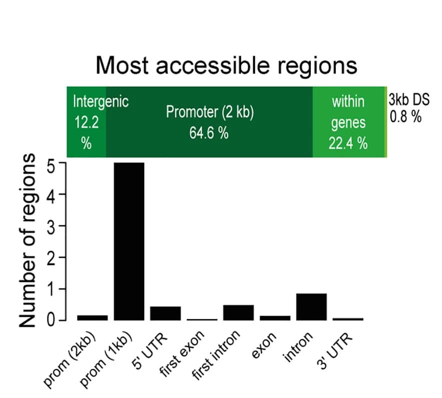Open access visualization of Bar Plot, Stacked Bar Plot, Accessible Regions, Genomic Features