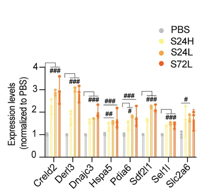 Open access visualization of Bar Plot, Error Bars, Expression Levels, ER-stress Genes, Beta Cells