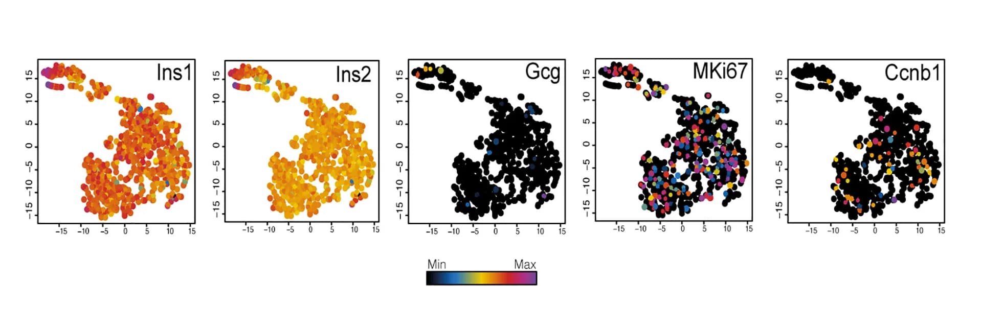 Open access visualization of Scatter Plot, UMAP, t-SNE projection, Cells, Insulin