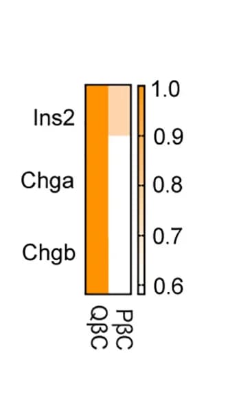 Open access visualization of Bar Plot, Stacked Bar Plot, Heatmap, Gene expression, scRNA-seq