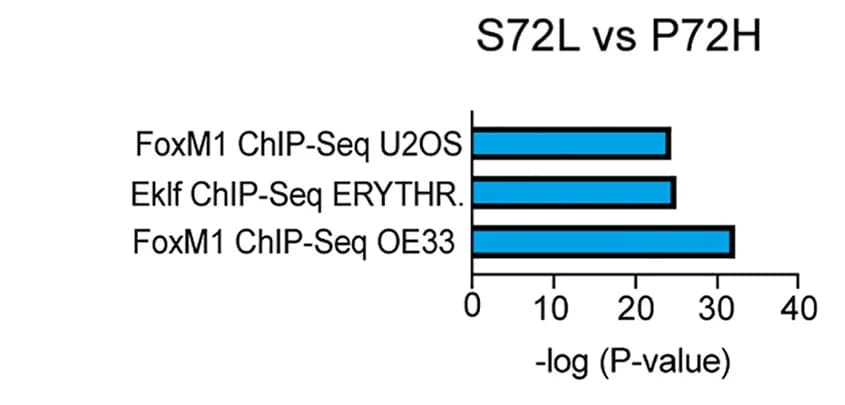 Open access visualization of Bar Plot, ChIP Enrichment Analysis, RNA-Seq, Beta Cells, Mice