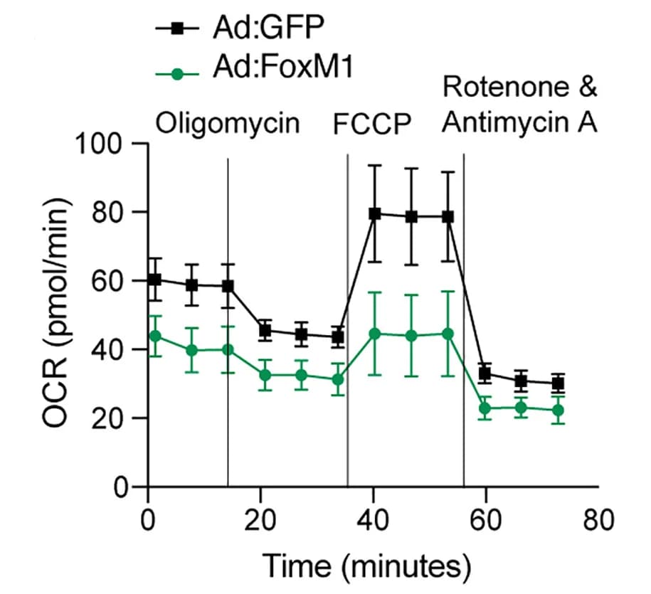 Open access visualization of Line Plot, Error Bars, Oxygen Consumption Rate, Mitochondrial Stress Test, Min6 Cells