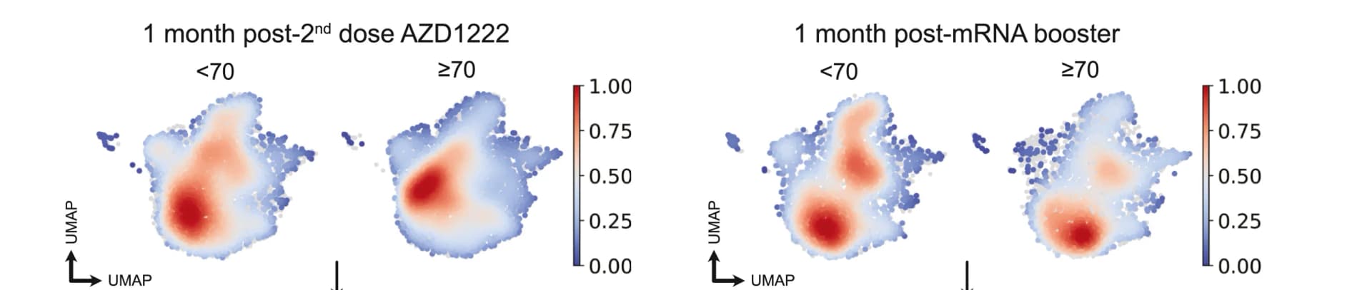 Open access visualization of Scatter Plot, UMAP, Density Plot, Density Plots, B Cell Abundance