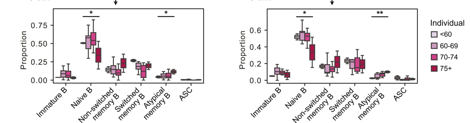 Open access visualization of Box Plot, B Cell Subsets, Age Groups, AZD1222, mRNA Booster