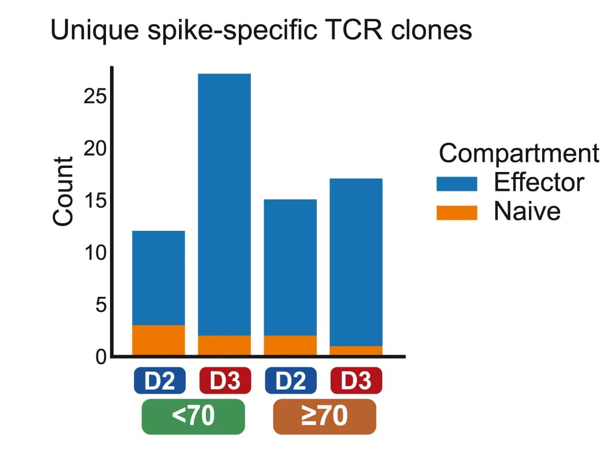 Open access visualization of Bar Plot, Stacked Bar Plot, Spike Epitope-Specific scTCR Clones, T Cell Identity, Effector Cells