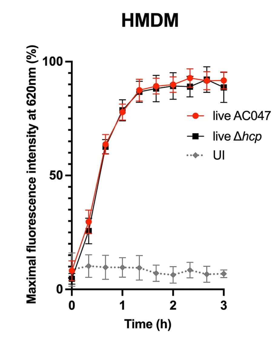 Open access visualization of Line Plot, Error Bars, PI Assay, HMDM Infection, Wild-Type Bacteria