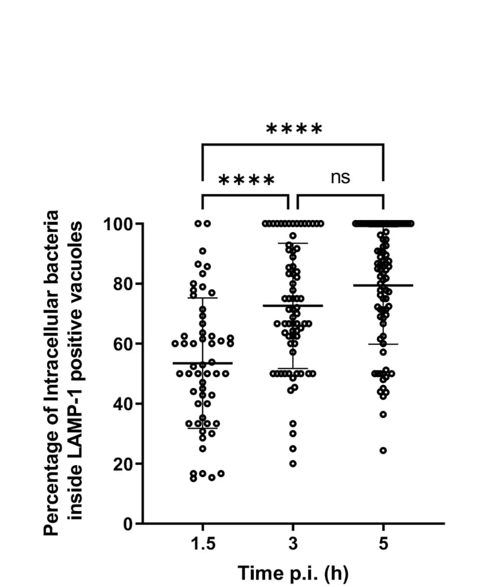 Open access visualization of Scatter Plot, Intracellular Bacteria, LAMP-1-positive Vacuoles, Macrophages, Kruskal-Wallis Test