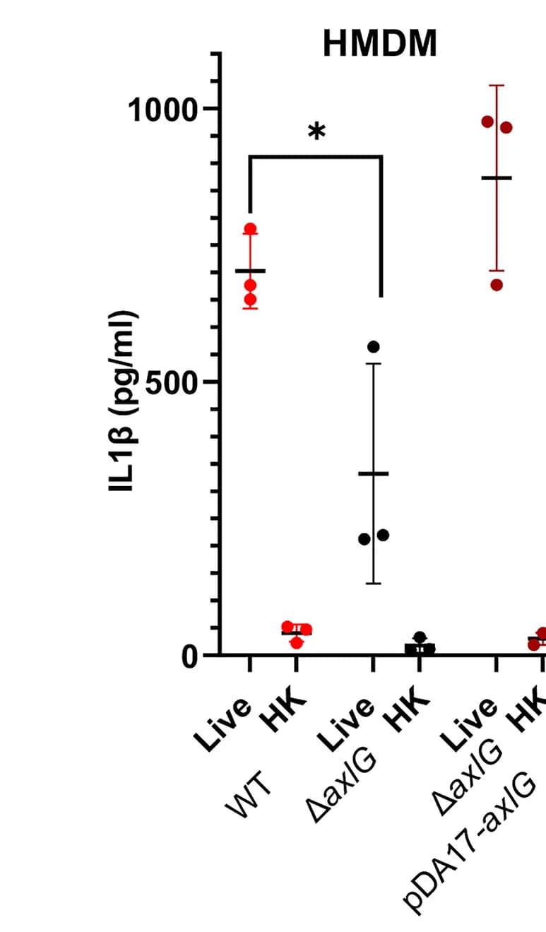 Open access visualization of Scatter Plot, Error Bars, ELISA, IL-1β, Supernatants