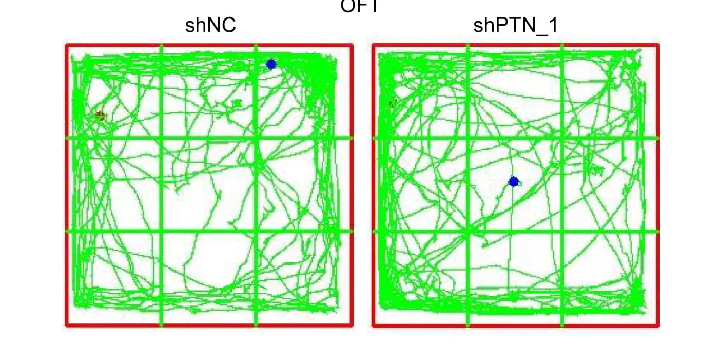 Open access visualization of Line Plot, Movement Paths, Groups