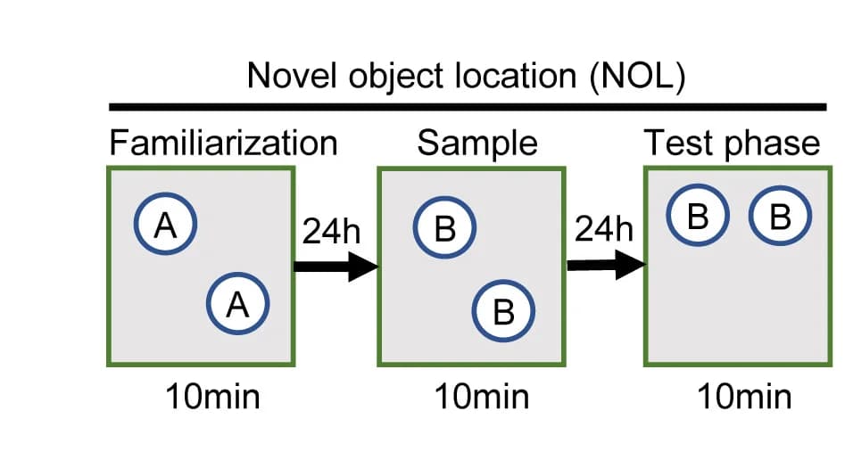 Open access visualization of Workflow, Flowchart, Illustration, NOL Test, Schematic