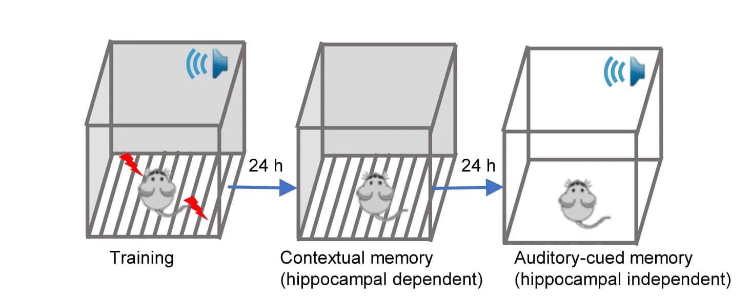 Open access visualization of Workflow, Illustration, FC Test, Schematic