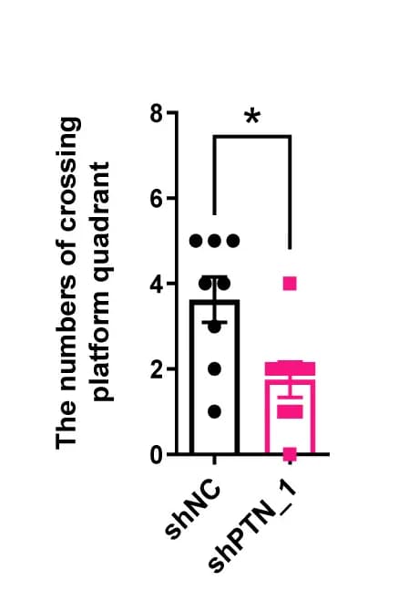 Open access visualization of Bar Plot, Error Bars, MWM, Platform Quadrant, Crossing Numbers