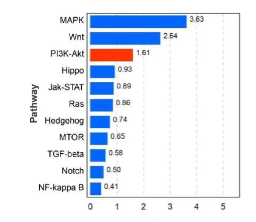 Open access visualization of Bar Plot, KEGG Pathway, Differentially expressed genes, NSPCs, PTN