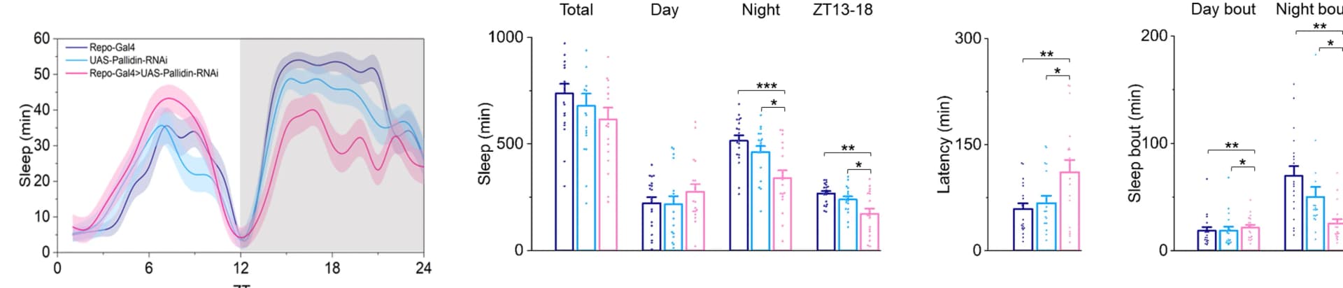 Open access visualization of Line Plot, Bar Plot, Error Bars, Scatter Plot, Fly