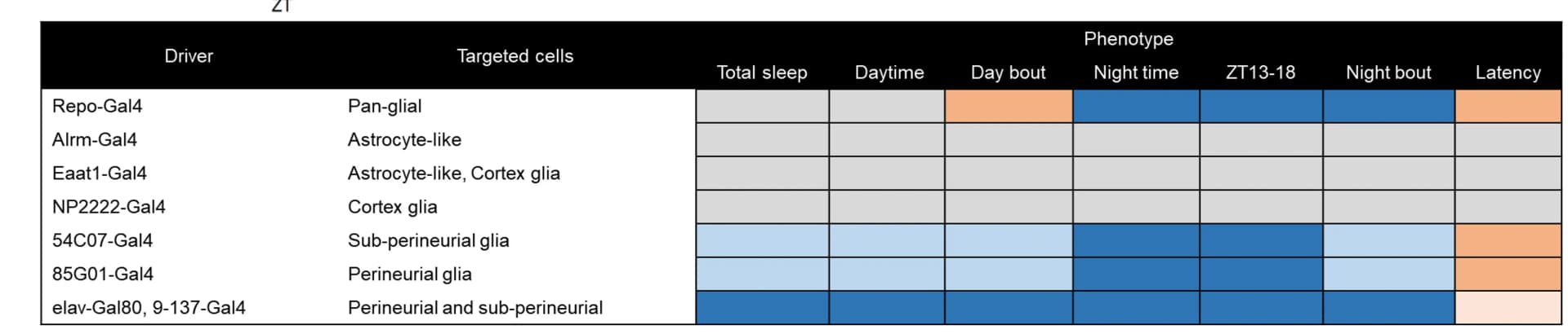 Open access visualization of Heatmap, Sleep Parameters, UAS-Pallidin-RNAi, Gal4 drivers, 54C07-Gal4