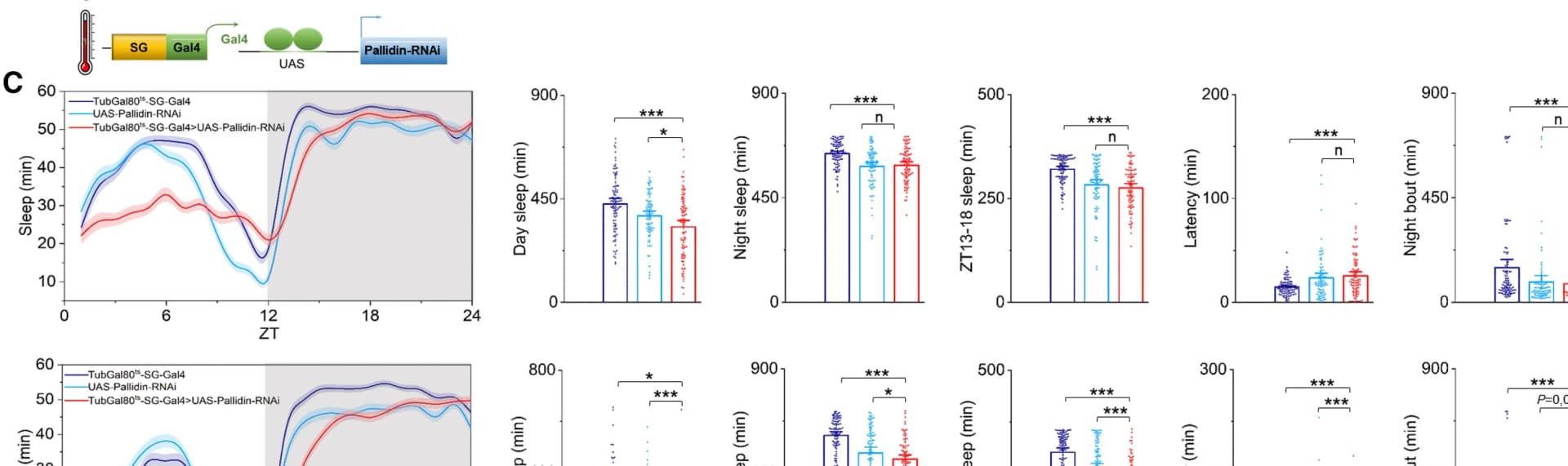 Open access visualization of Bar Plot, Line Plot, Scatter Plot, Error Bars, Night Sleep