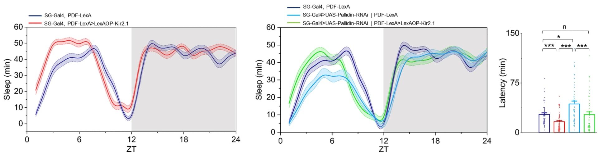 Open access visualization of Line Plot, Error Bars, Bar Plot, Scatter Plot, Hyperpolarization