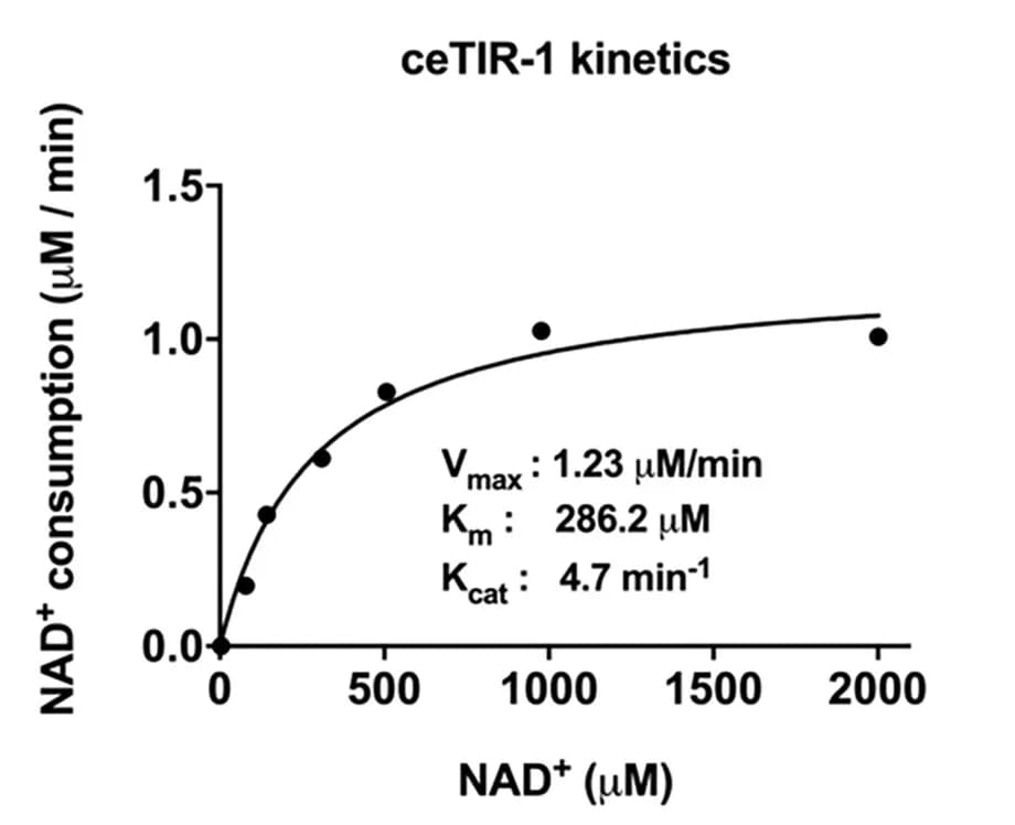 Open access visualization of Line Plot, Scatter Plot, Michaelis-Menten Kinetics, ceTIR-1, hSARM1