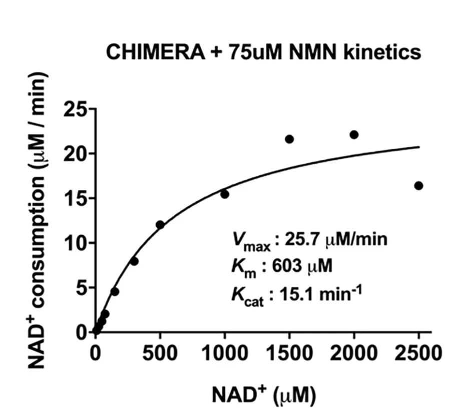 Open access visualization of Scatter Plot, Line Plot, Regression Plot, Kinetic Measurements, CHIMERA