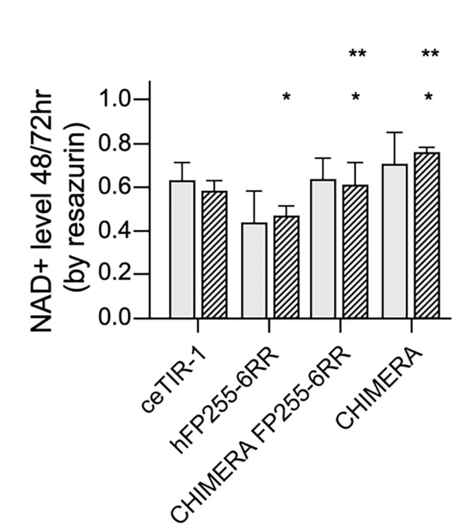 Open access visualization of Bar Plot, Error Bars, Clustered, NADase activity, CHIMERA