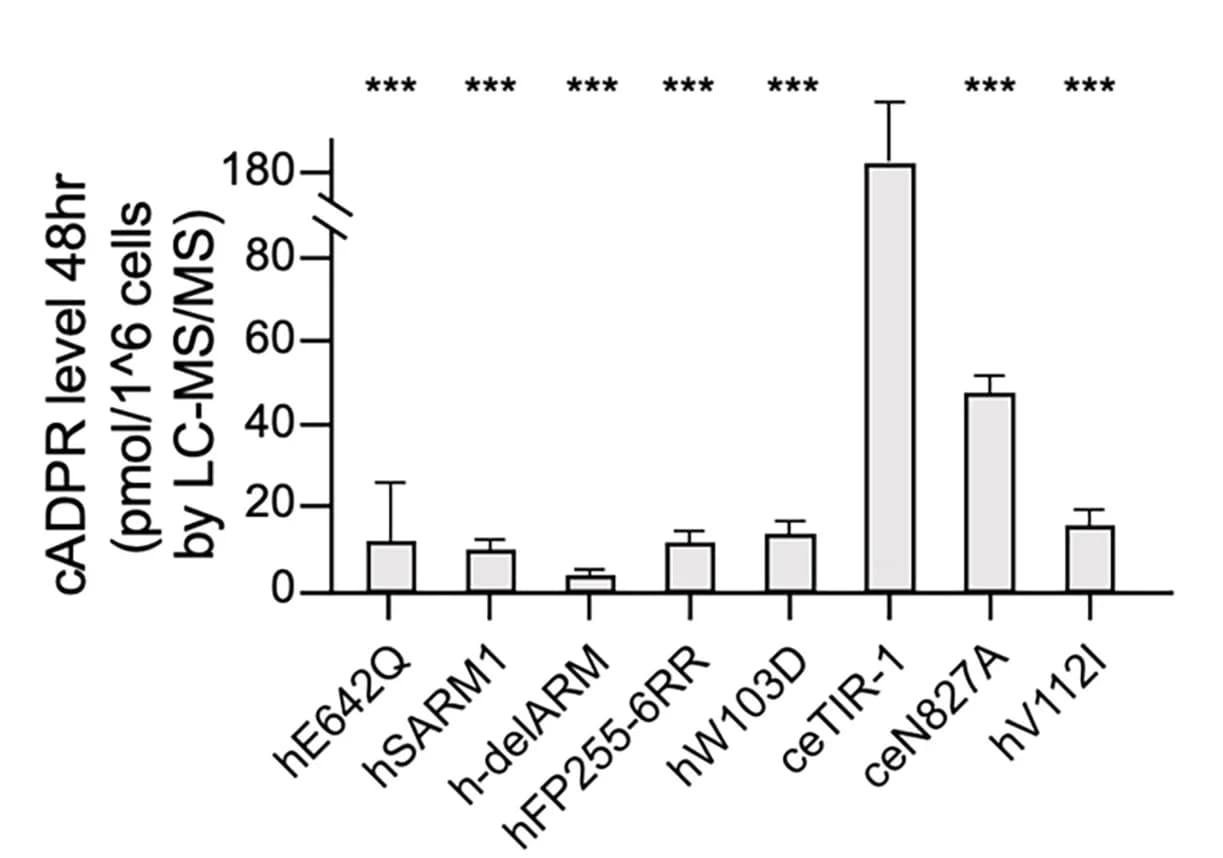 Open access visualization of Bar Plot, Error Bars, cADPR, hSARM1, Transfected Cells