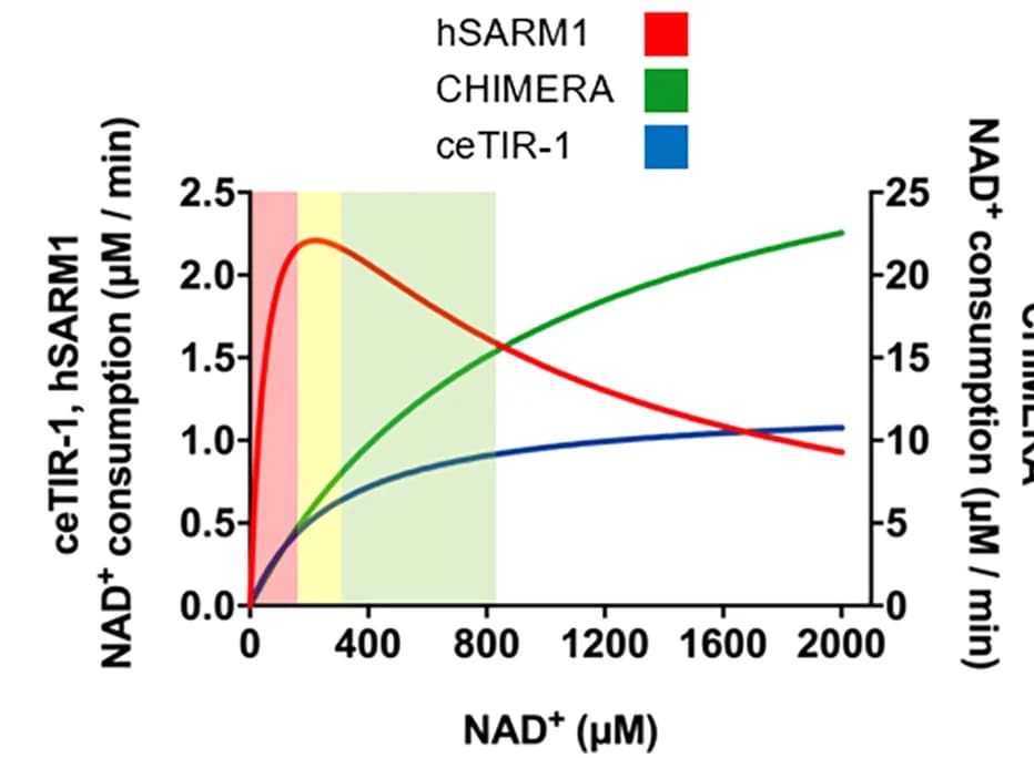 Open access visualization of Line Plot, In Vitro, NADase Activity, hSARM1, ceTIR-1
