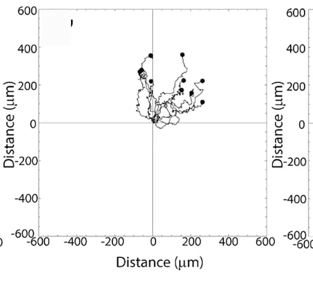 Open access visualization of Line Plot, Scatter Plot, E8.5 Explants, GSK3 inhibitors, BIO