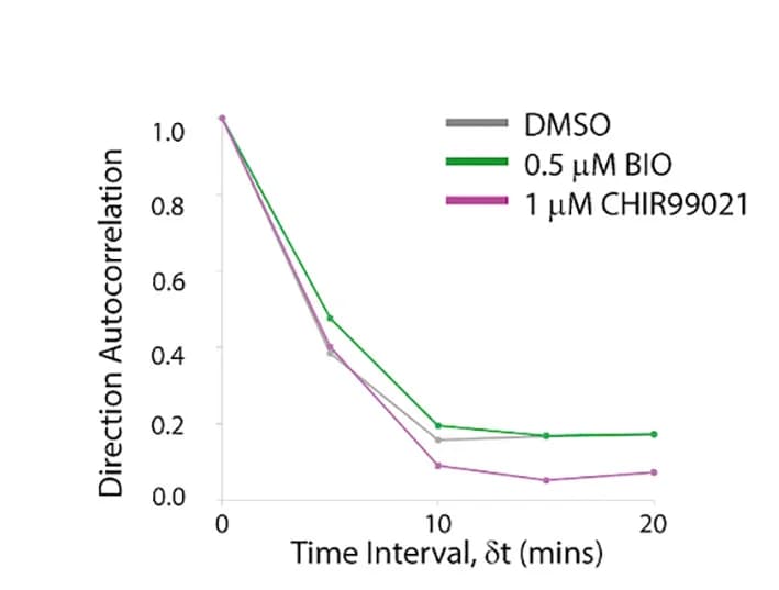 Open access visualization of Line Plot, Direction Autocorrelation, DMSO, BIO, CHIR99021