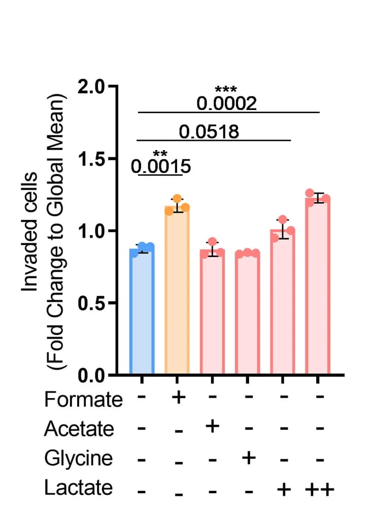Open access visualization of Bar Plot, Error Bars, LN-229 Cells, Formate, Acetate