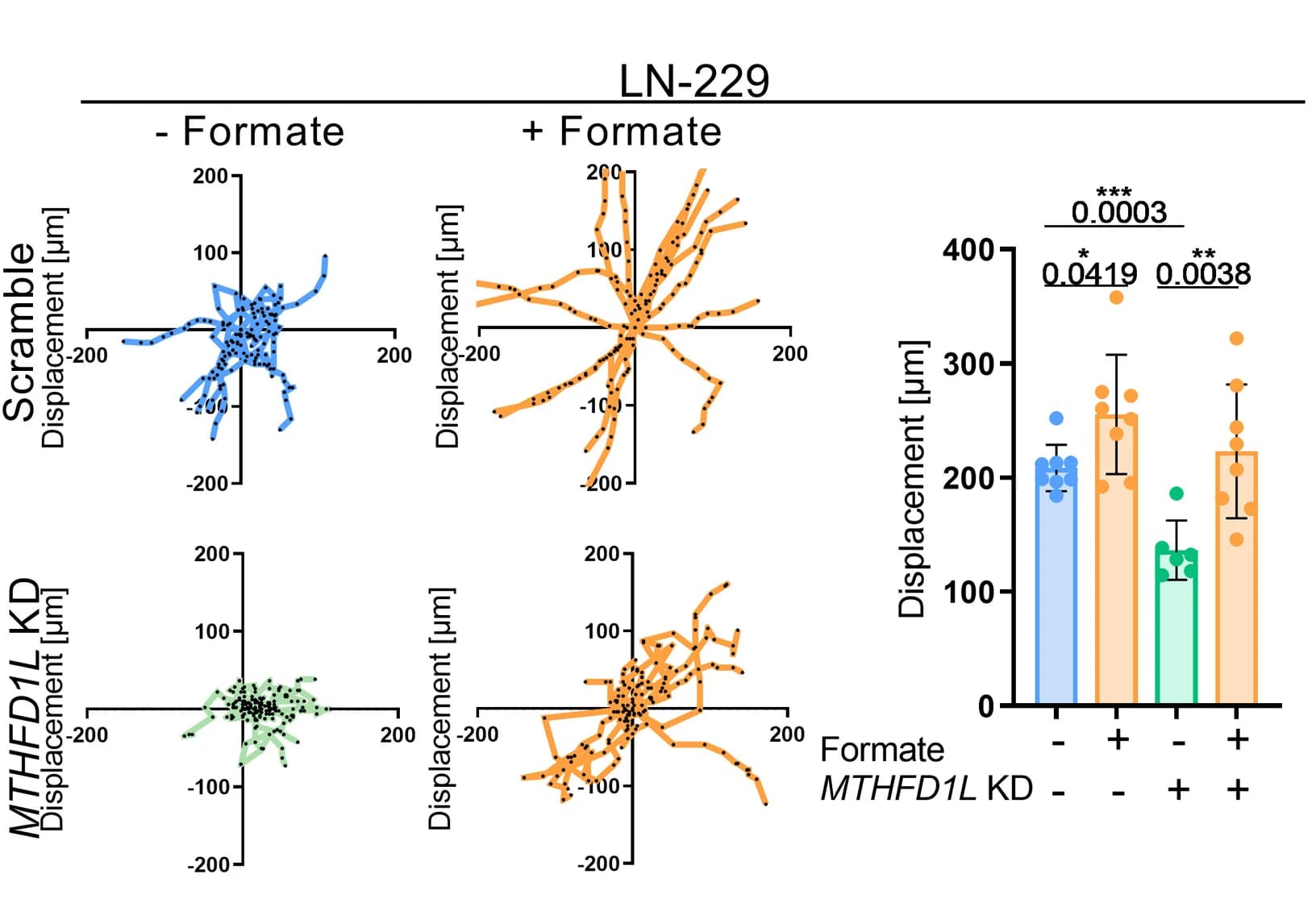 Open access visualization of Scatter Plot, Bar Plot, Error Bars, LN-229 Cells, NCH601 Cells