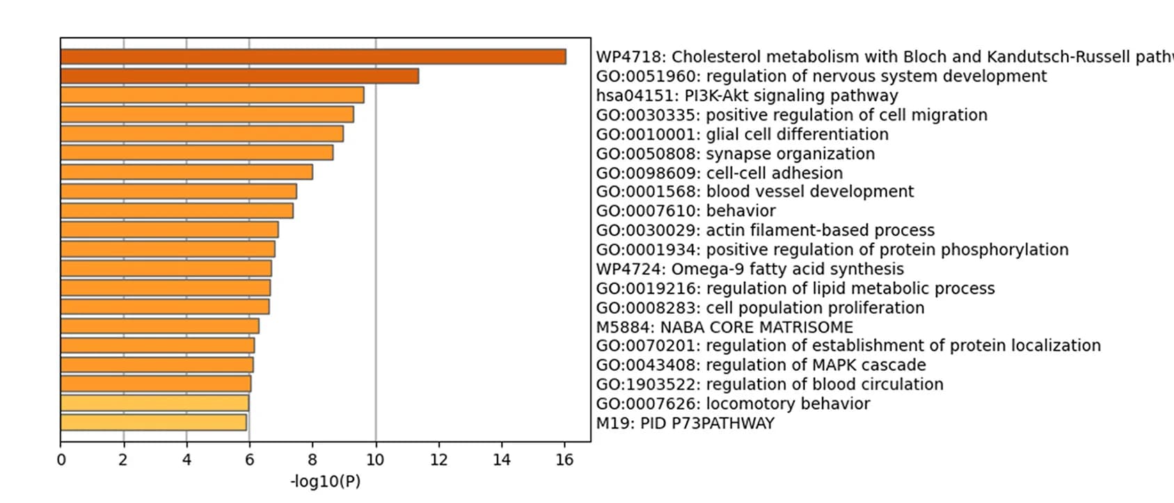 Open access visualization of Bar Plot, Metascape Analysis, RNA-seq