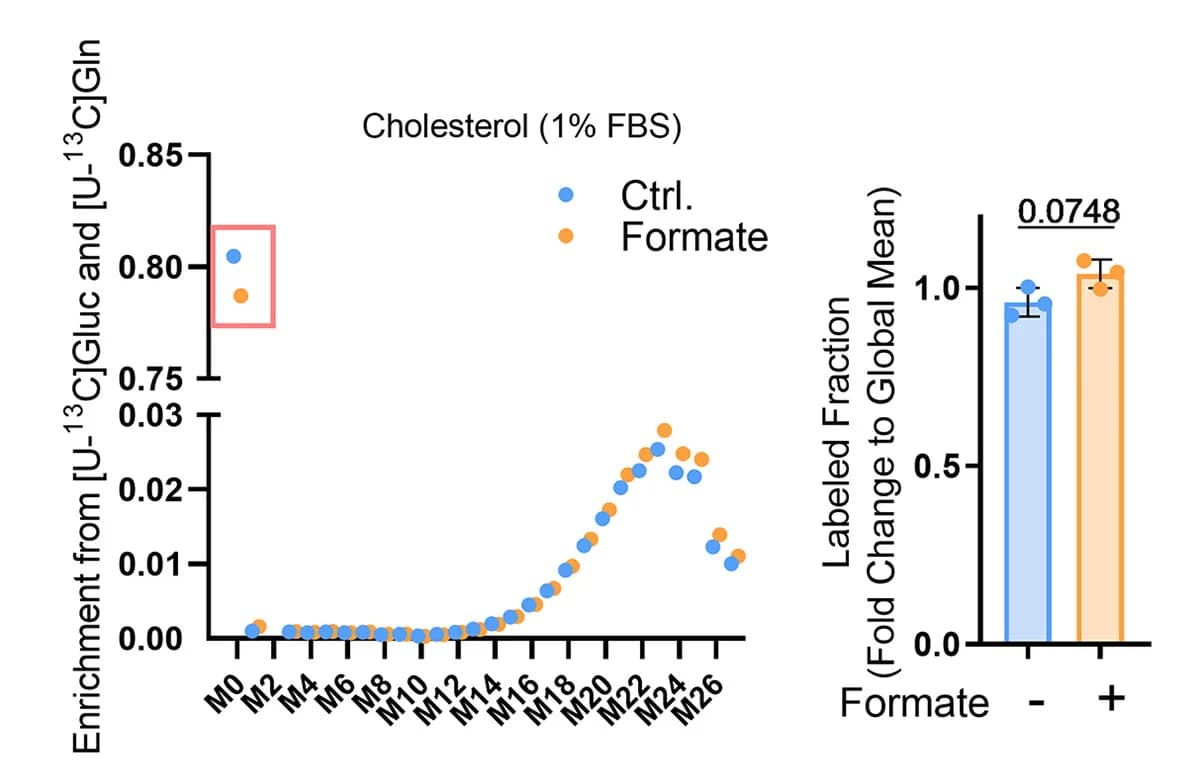 Open access visualization of Scatter Plot, Bar Plot, Error Bars, Isotopolog Enrichment, Cholesterol