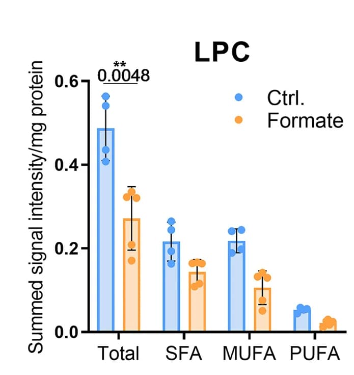 Open access visualization of Bar Plot, Error Bars, Clustered, Lysophosphatidylcholine, LPC